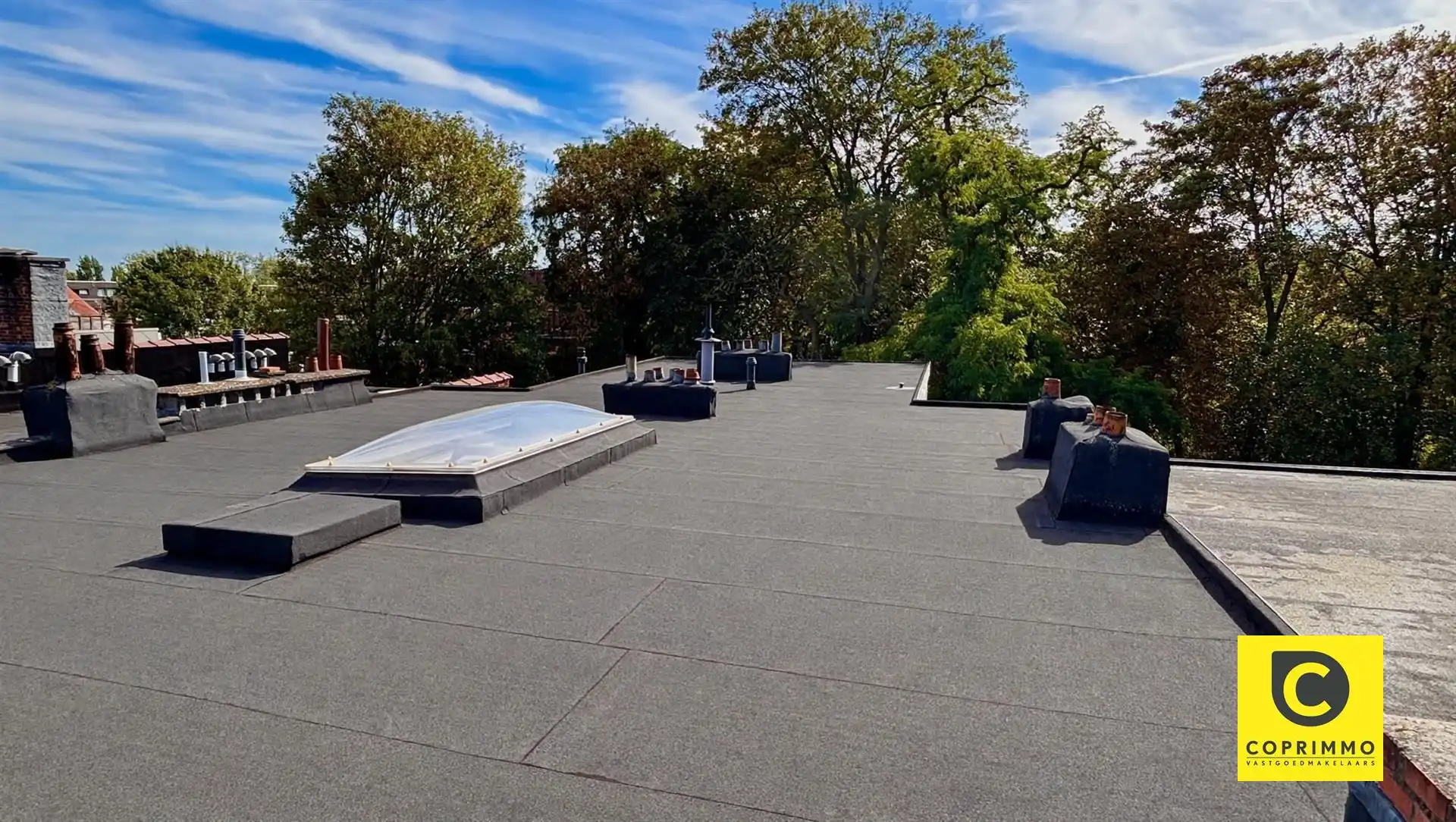 Karaktervol 2 slpk app aan 't Brilschanspark + privatief genot 180m² dak! foto 13