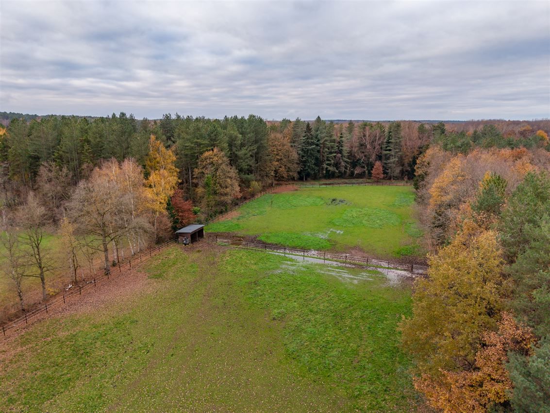 Rustig gelegen woning met weiland en stallen foto 2
