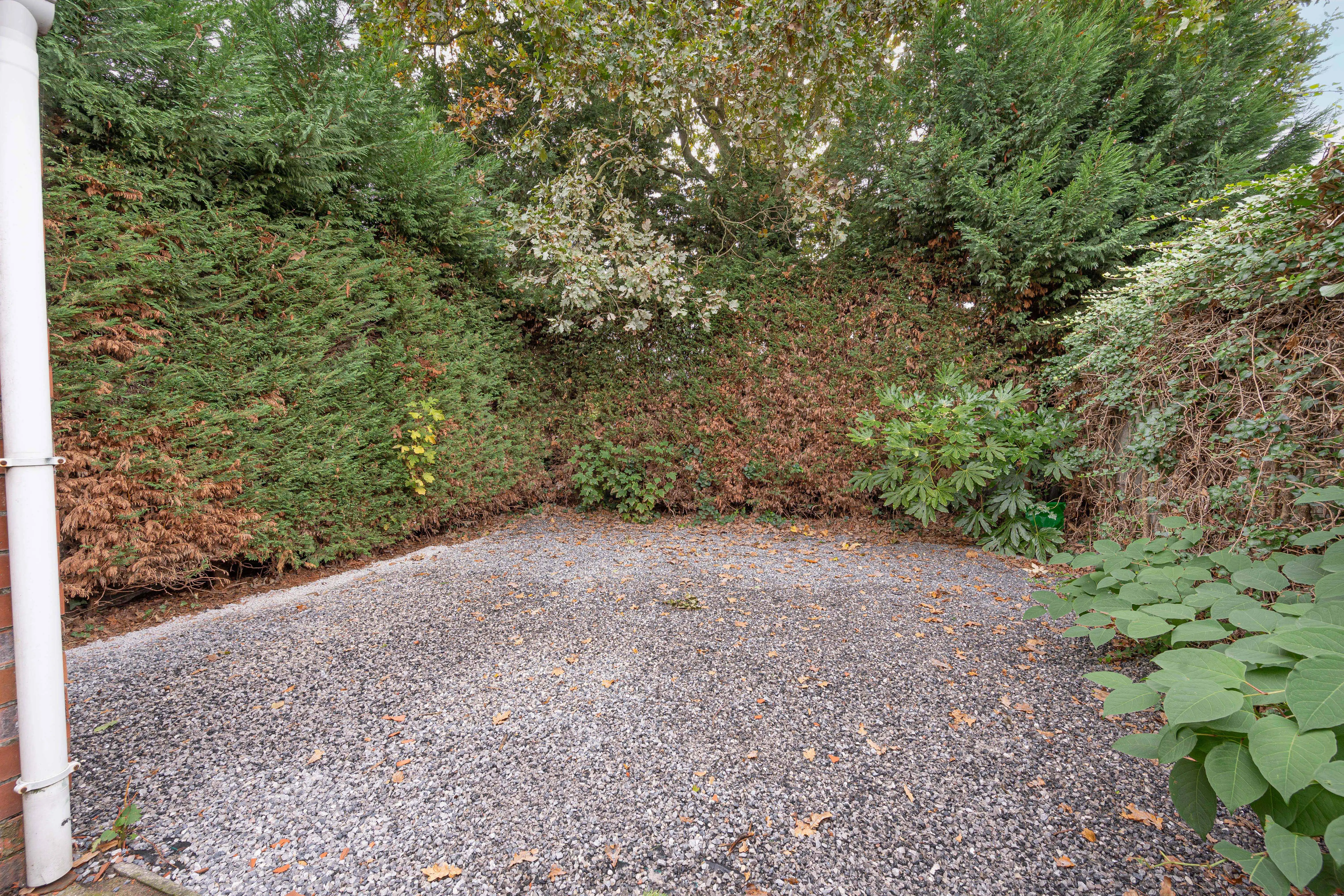 Veelzijdig handelspand van 77 m² te koop in Willebroek foto 14