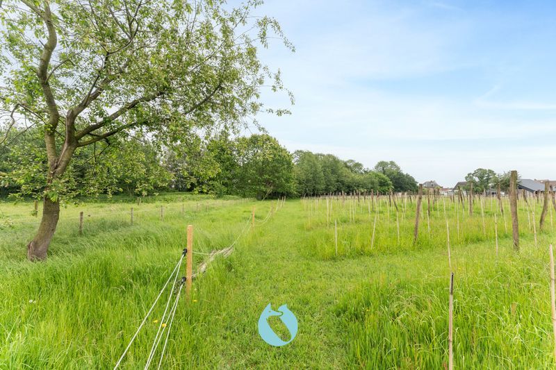 Veelzijdige eigendom op 14.569m² ten noorden van Gent foto 34