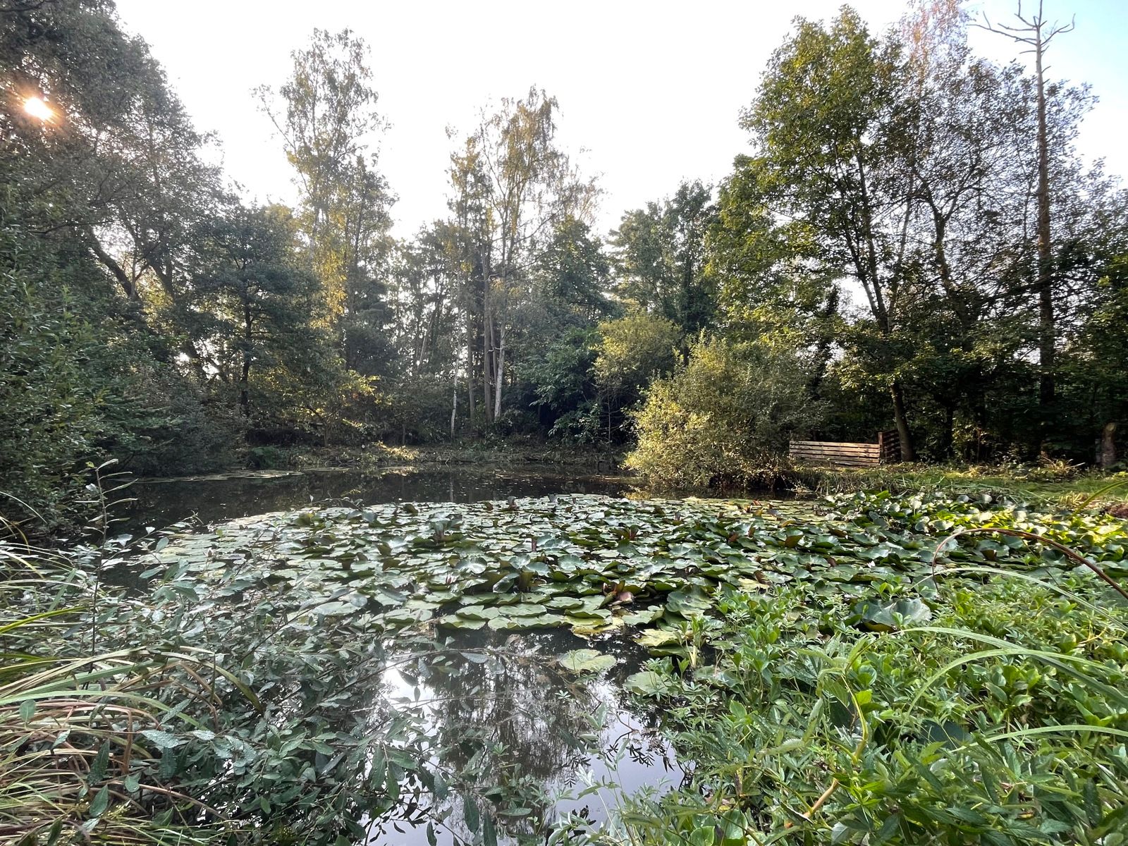 Charmante vakantiewoning te Herselt. foto 4