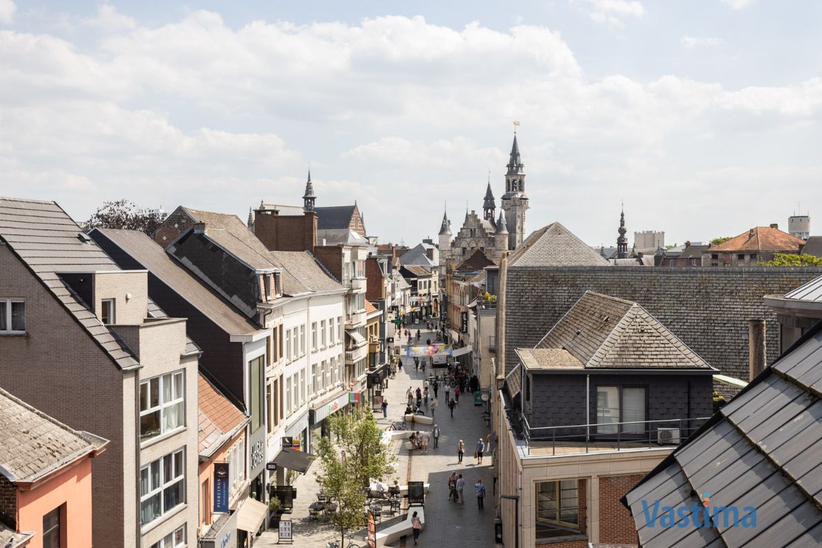Penthouse met 2 terrassen met zicht over de skyline van Aalst foto 11