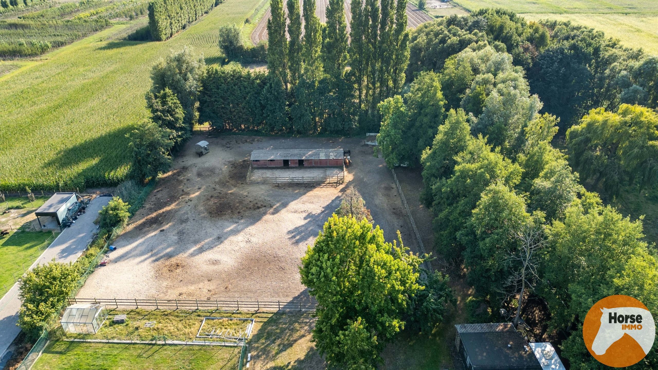 ZELZATE - Landhuis met bijgebouw, zwembad en paardenstallen foto 5
