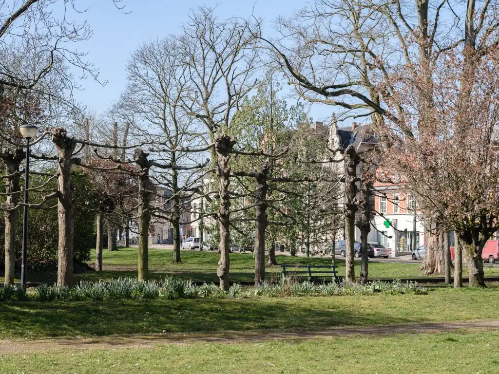 Zeldzaam aanbod - 9 studio’s en 1 appartement op een strategische ligging nabij het befaamde Miljoenenkwartier. foto 19