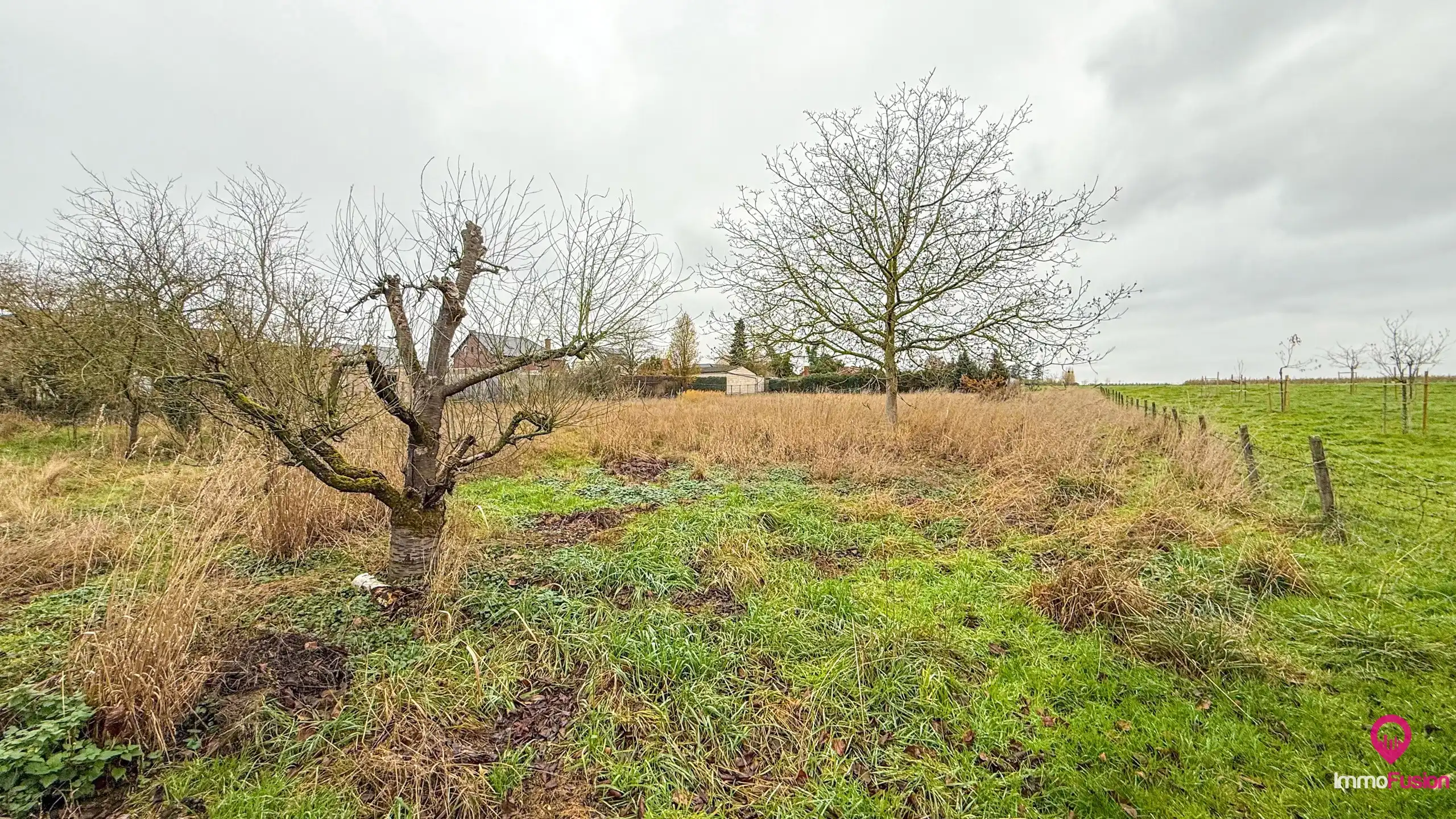 Bungalow met grote werkplaats en weide op 42 are in Alken foto 39