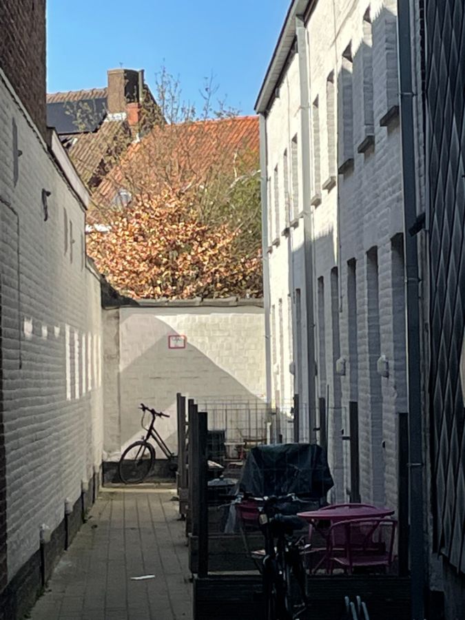 LOFTWONING foto 3
