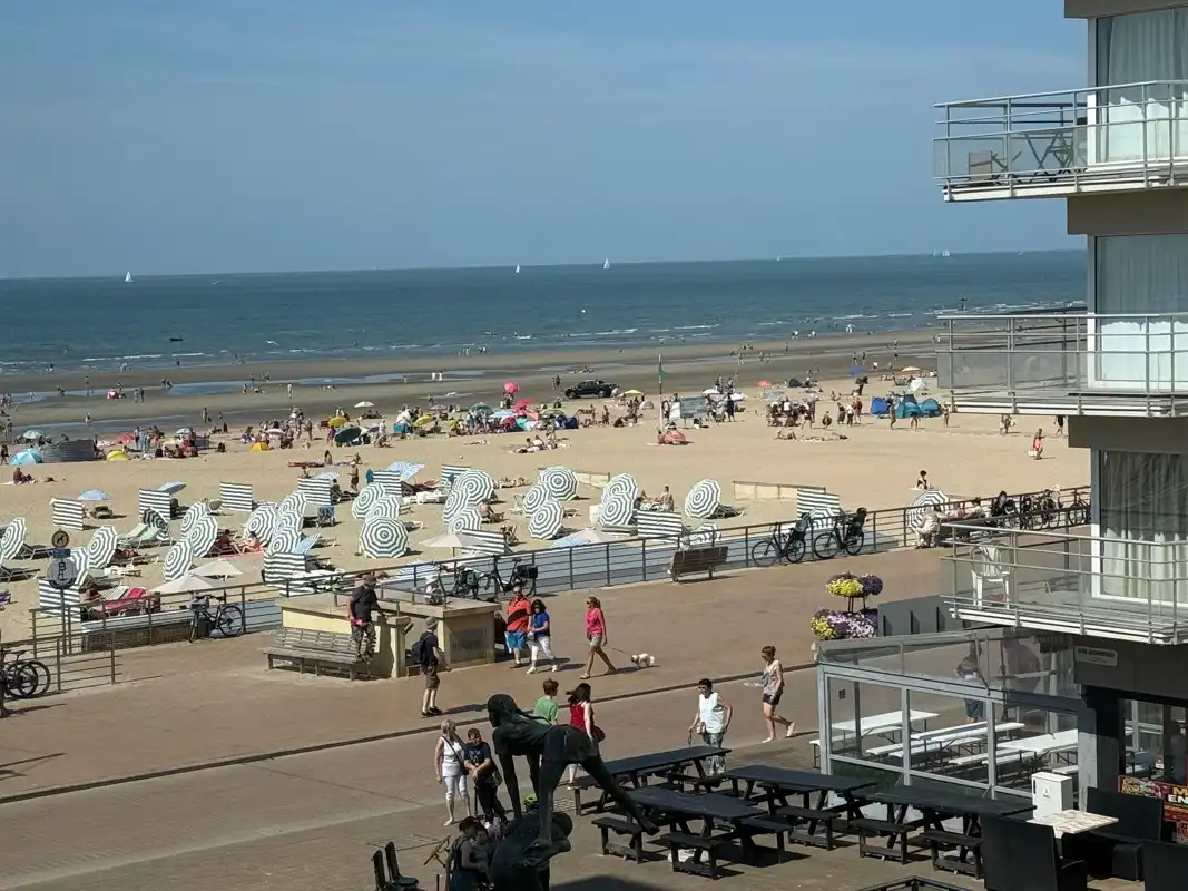 Ruim appartement met 1 slaapkamer in Koksijde foto {{pictureIndex}}