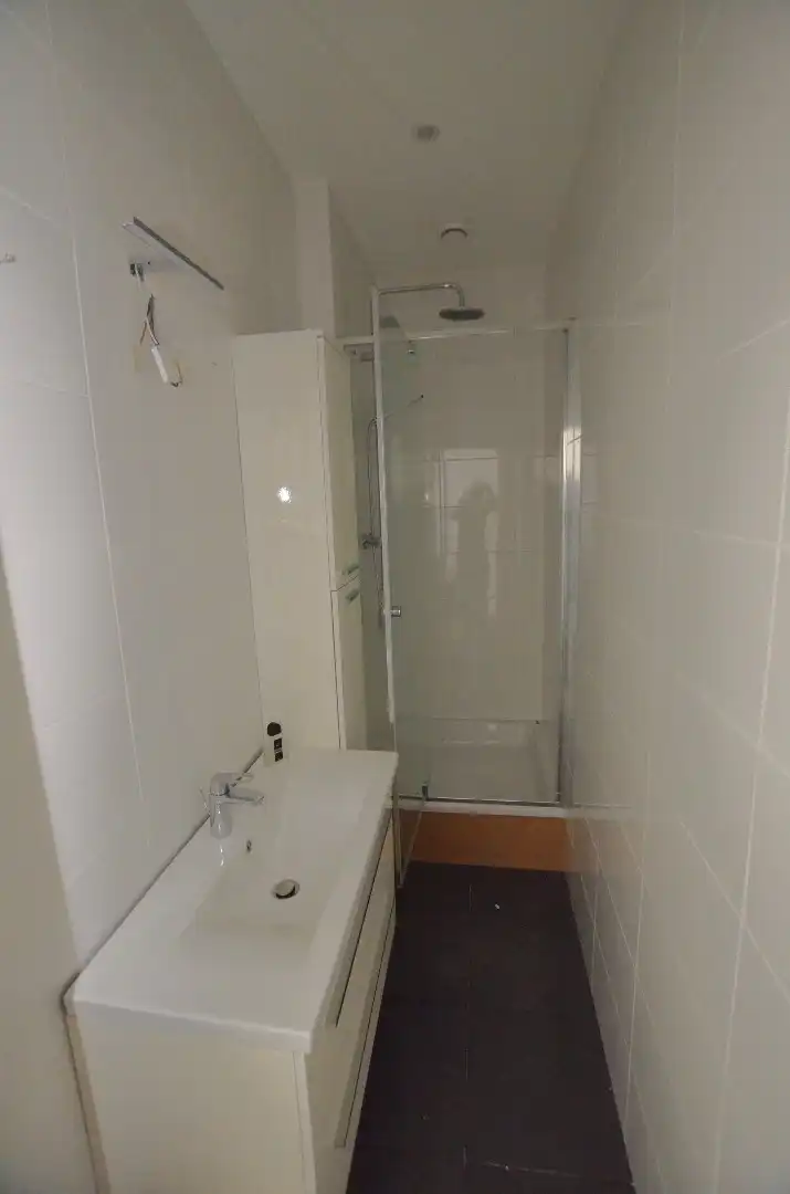 Grotendeels gerenoveerd appartement  foto 9