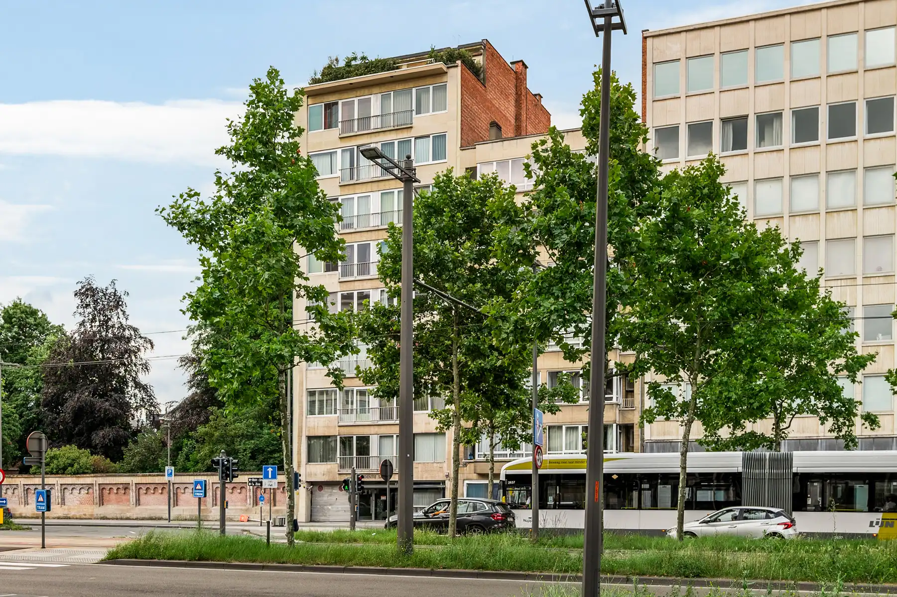 Klein van formaat, groots in uitzicht foto 10