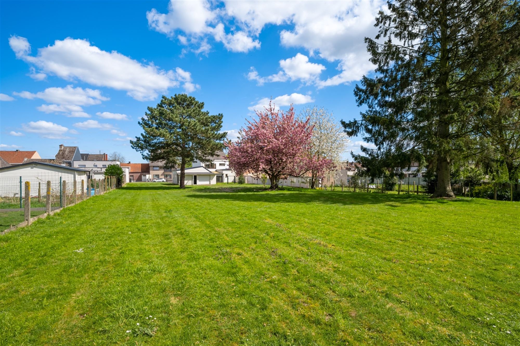 Woning met zeer veel potentieel op 2440m². foto 32