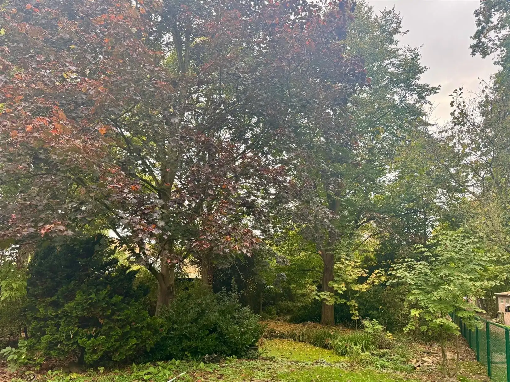 Karaktervolle half open villa met grote tuin 1.189m² in een rustige straat. foto 5