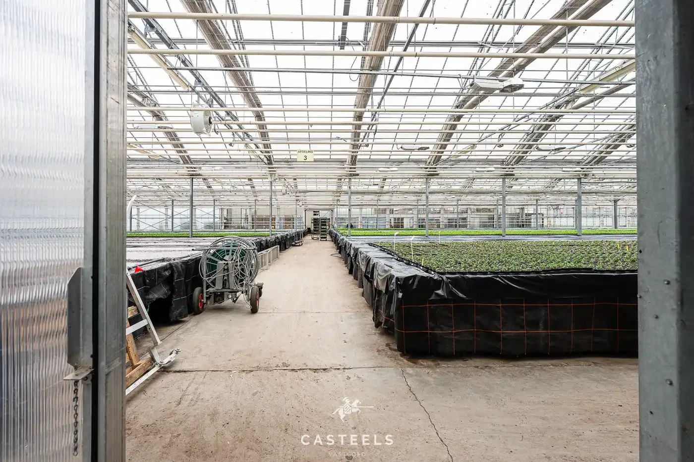 Professionele tuinbouwsite van 1,98 ha met 9.400 m² serres nabij E17 / R4 foto 3