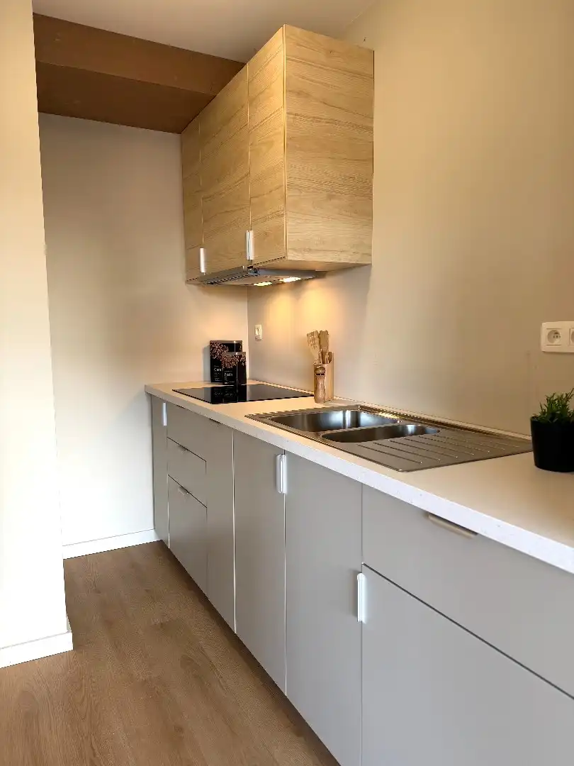 Gerenoveerd 1-slaapkamerappartement in het centrum! foto 8