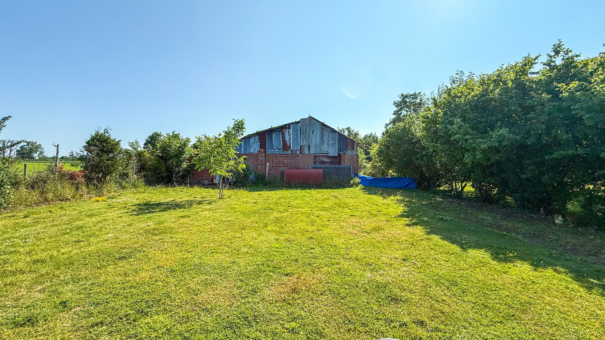 Vrijstaande woning met hangar en groot stuk grond-13.000m²! foto 34