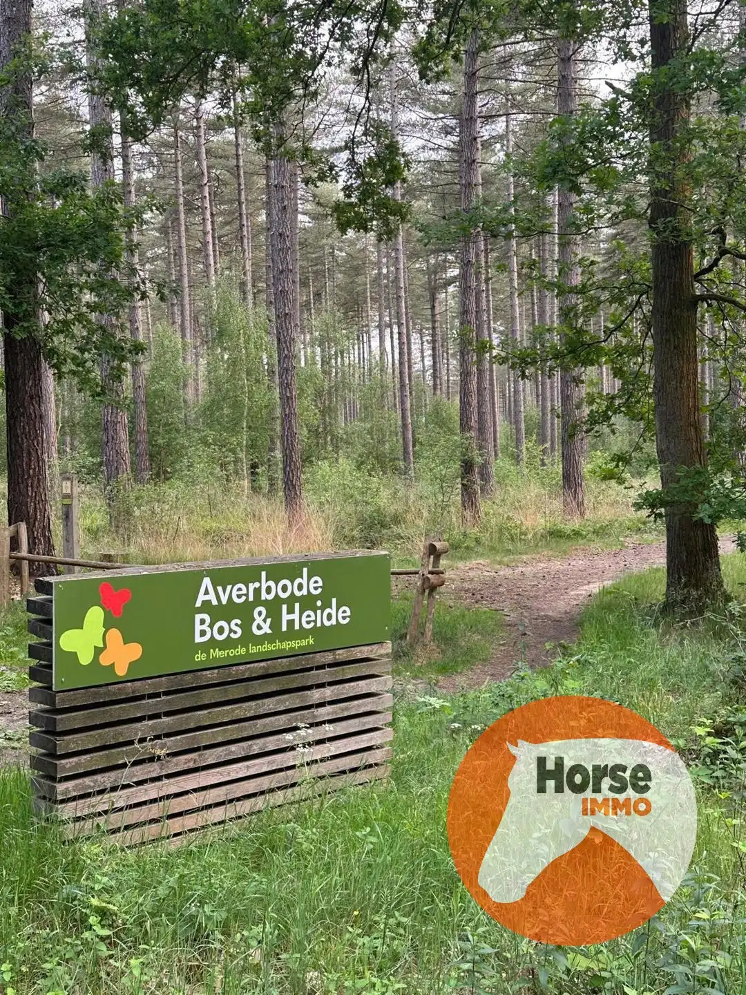 SCHERPENHEUVEL-ZICHEM - Woning op 47a nabij Averbode Bos   foto 4