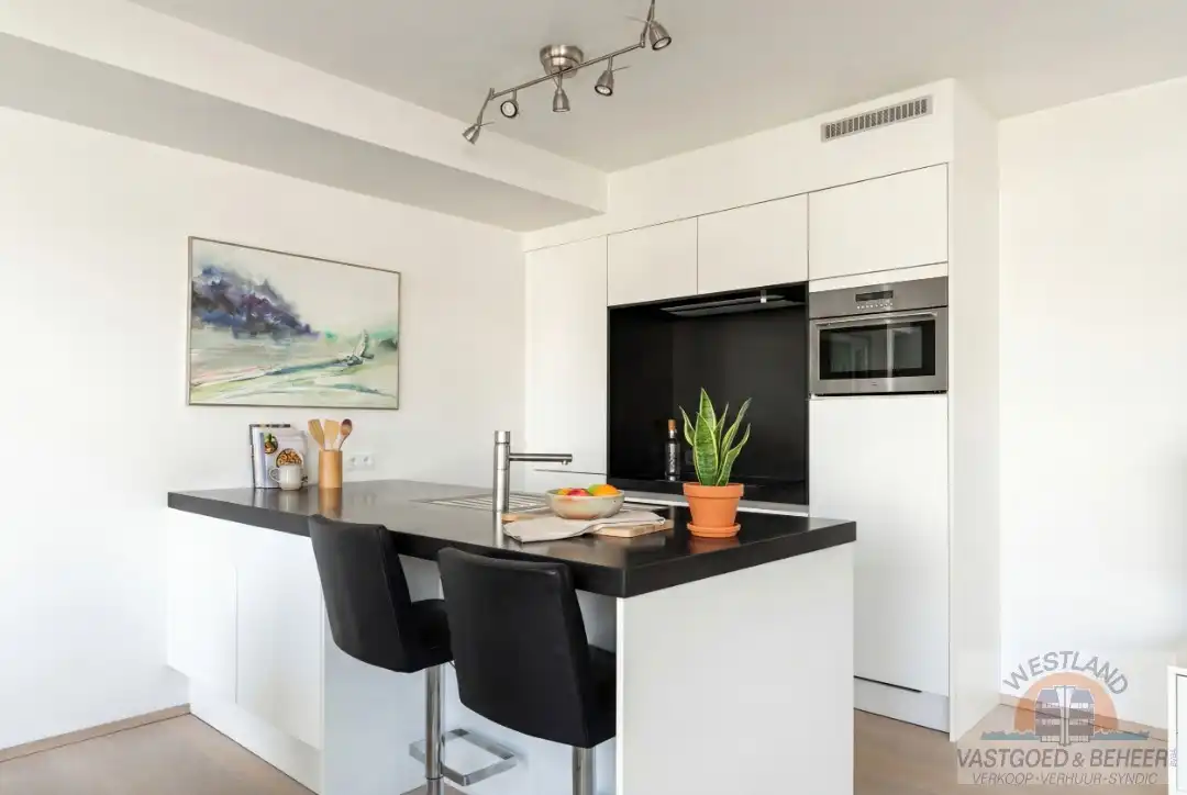 Schitterend 2-slaapkamer appartement in het hart van Sint-Idesbald foto 8