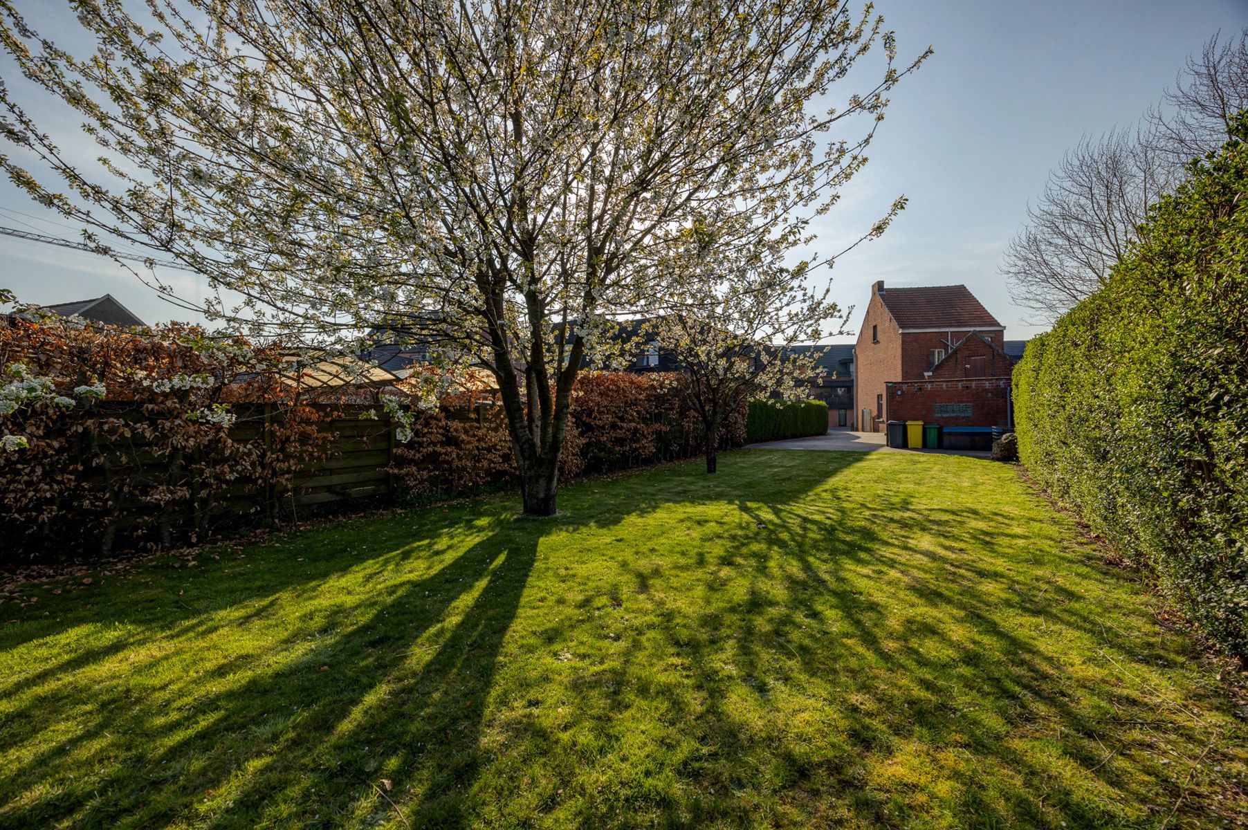 IN OPTIE. Gezinswoning met 4 slpks en tuin in Rijkevorsel 674m2 grond foto 36