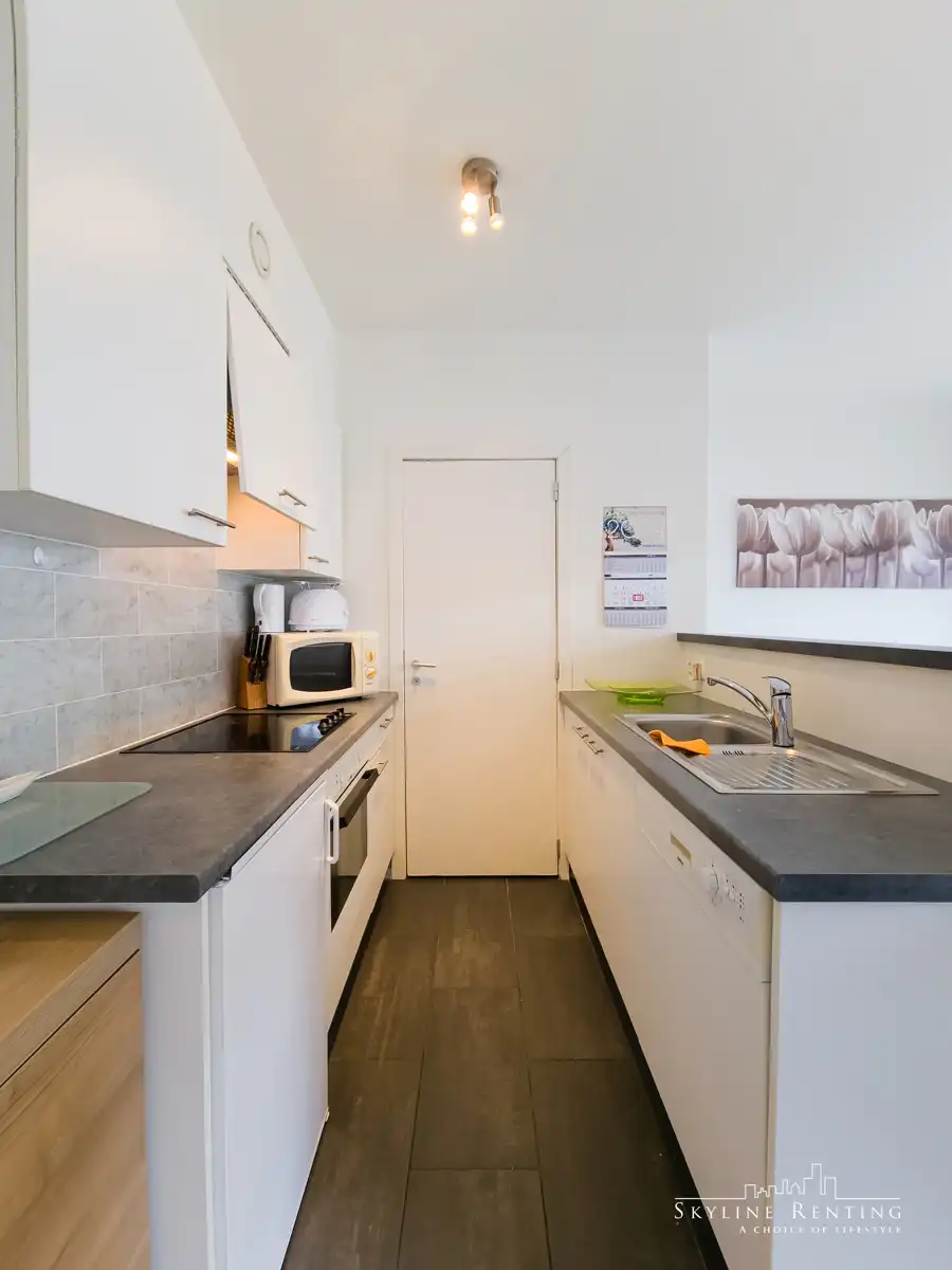 Prachtig gemeubeld app - 1Kamer + Terras (Europese wijk) foto 8