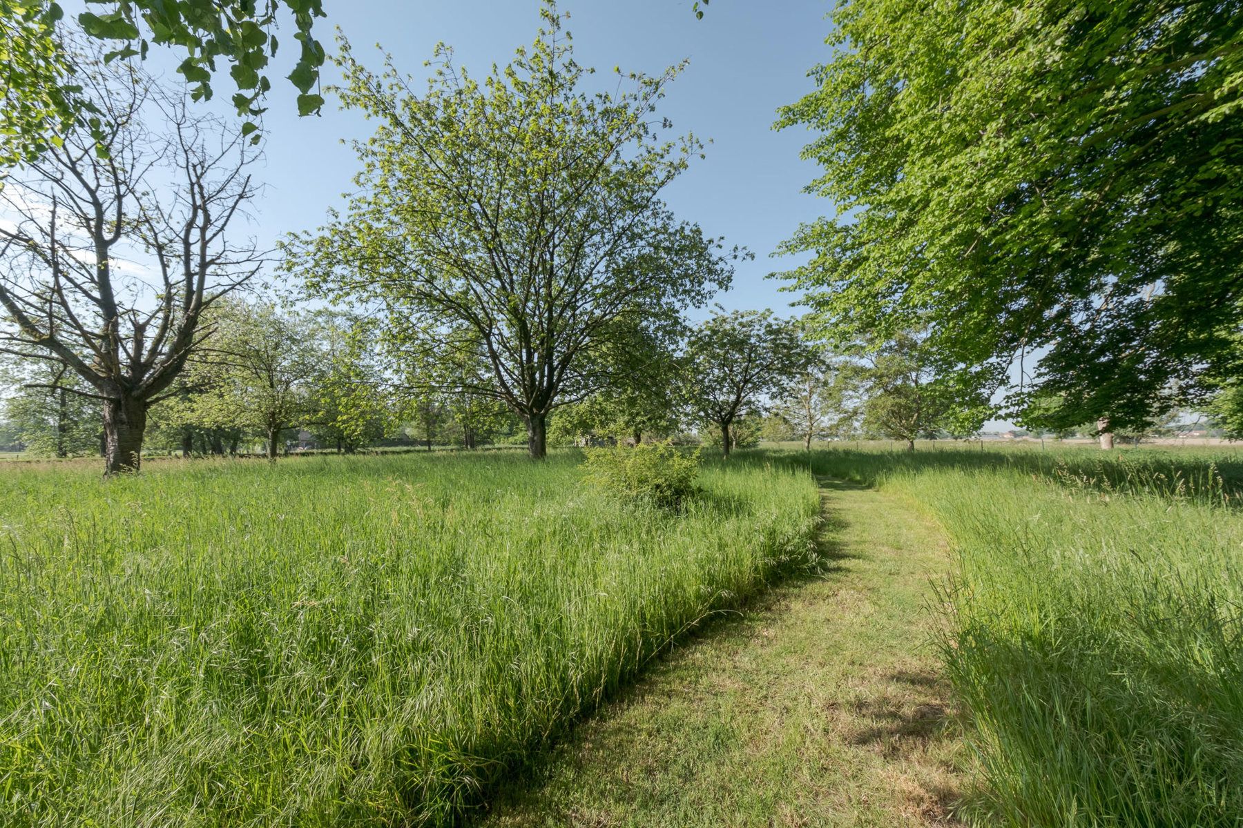 Elegante villa met uniek vergezicht  foto 4