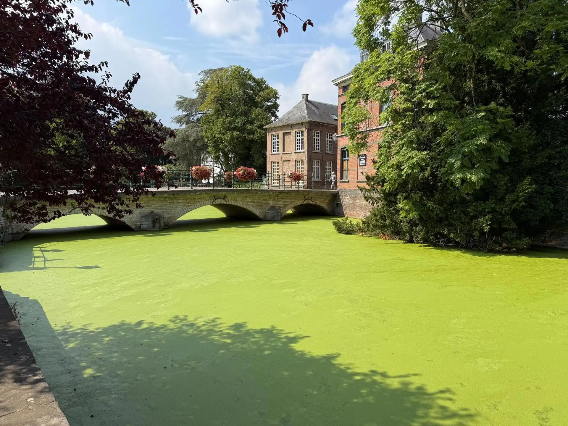 Veelzijdig handelspand op TOP-locatie foto 3