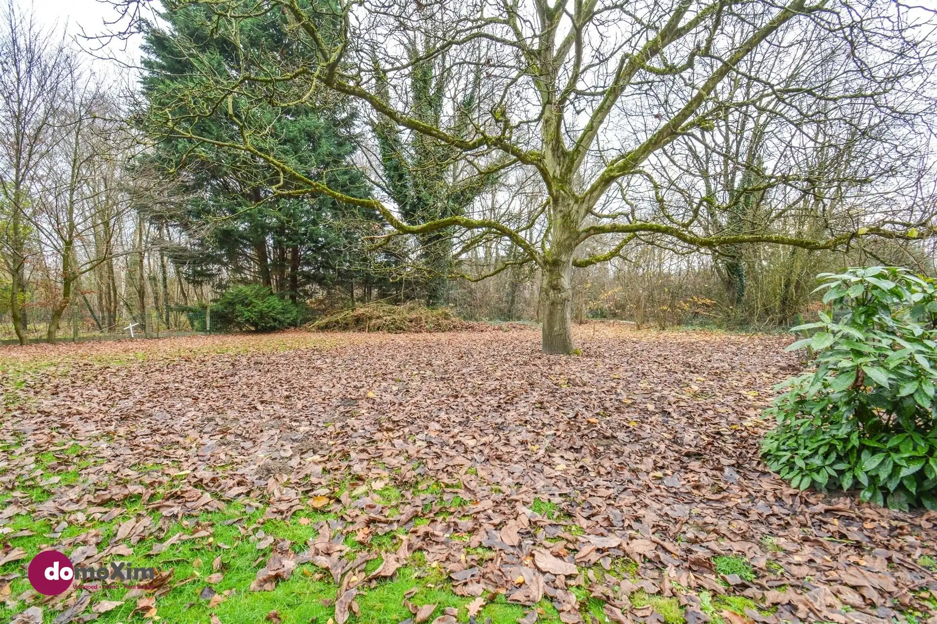 Te renoveren of af te breken woning op een toplocatie in Boortmeerbeek foto 13
