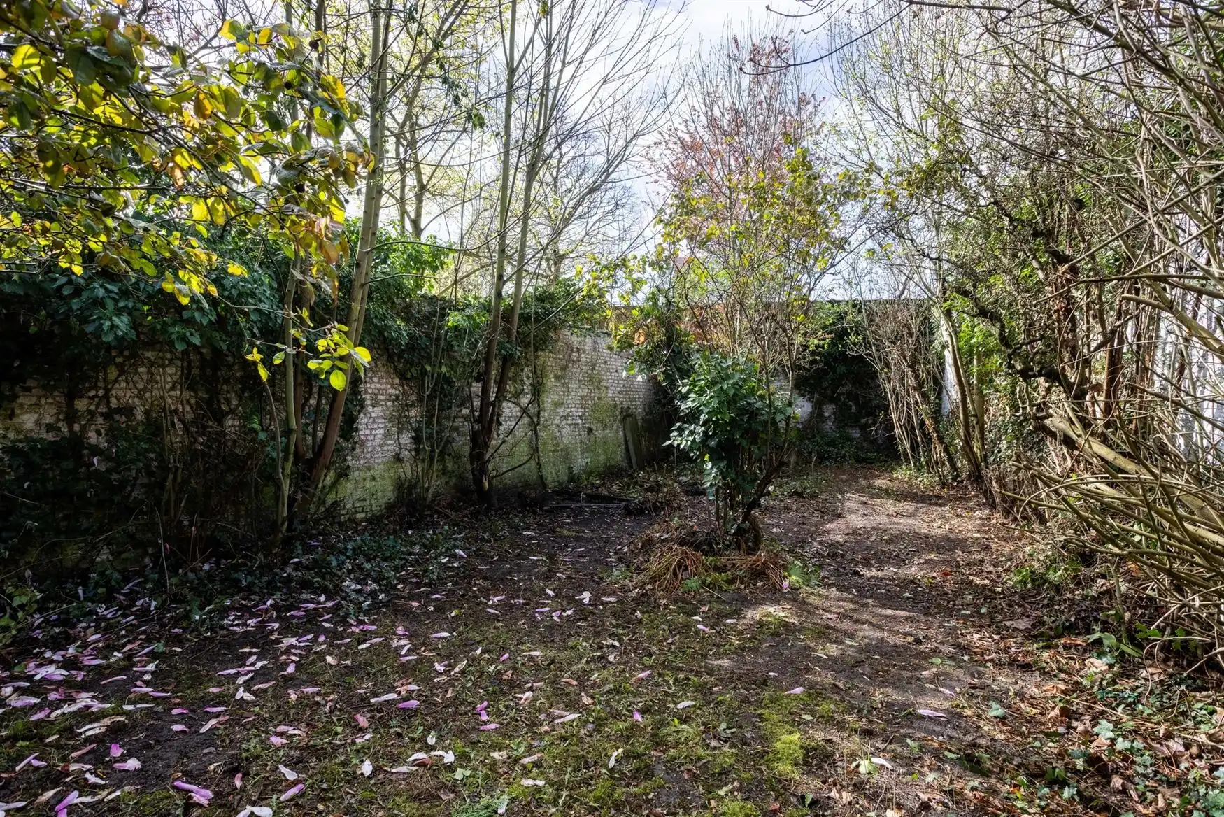 Karaktervolle renovatiewoning met zonnige tuin in Miljoenenkwartier foto 14
