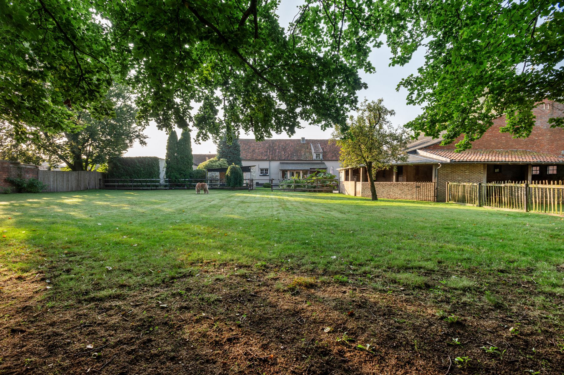 Gerenoveerde hoevewoning met praktijk en paardenstallen.  foto 3
