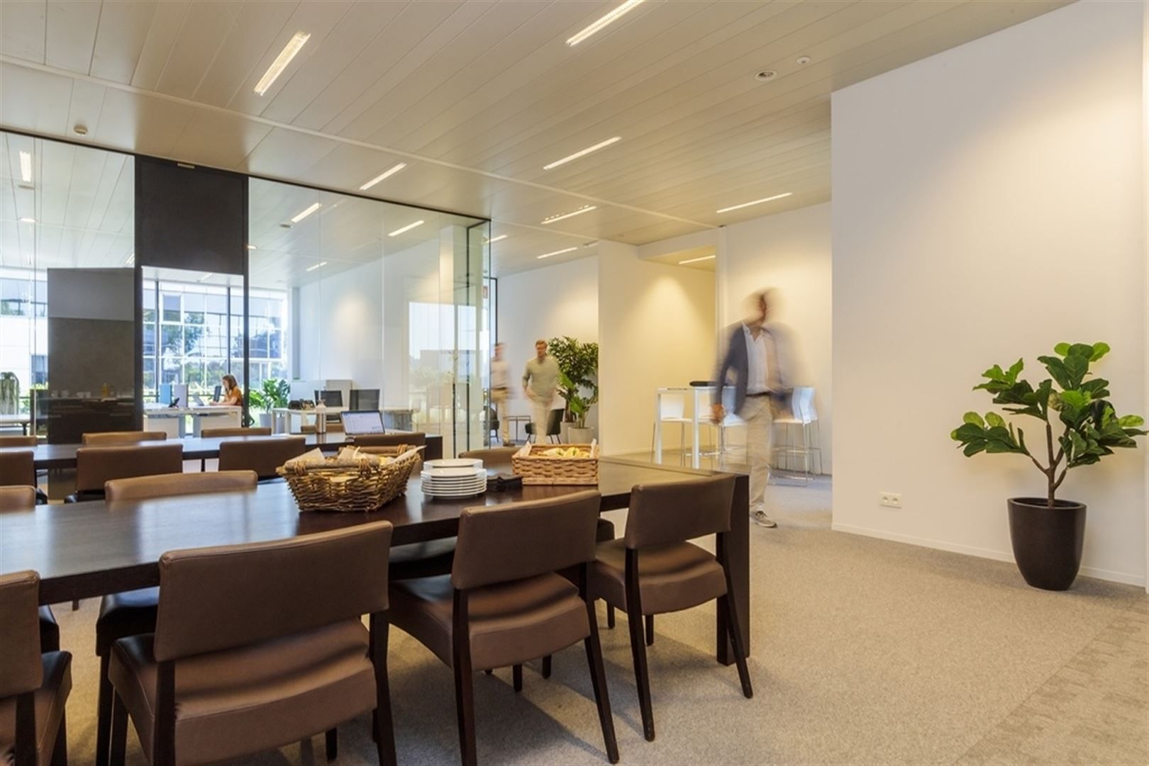 Business center op het gelijkvloers vanaf 5m² tot 104 m² foto 7