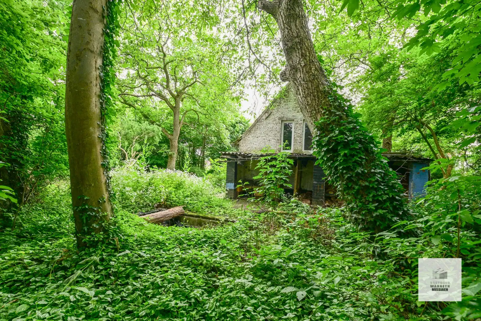Gronding te renoveren landelijke woning op 3910m2 te Ruiselede foto 8