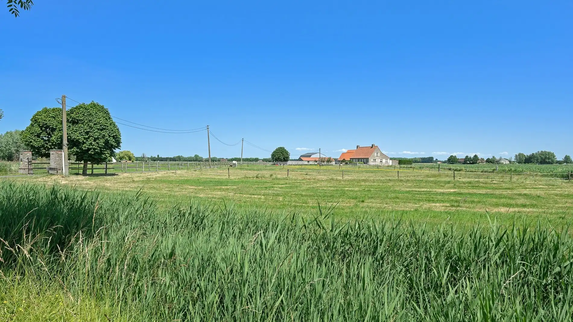 Idyllisch gelegen hoeve op bijna 5ha te Knokke-Heist foto 17