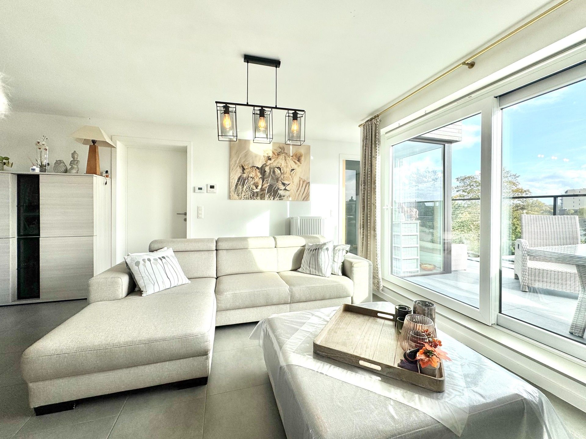 PENTHOUSE MET 2 TERASSEN & GROTE GARAGE foto 7