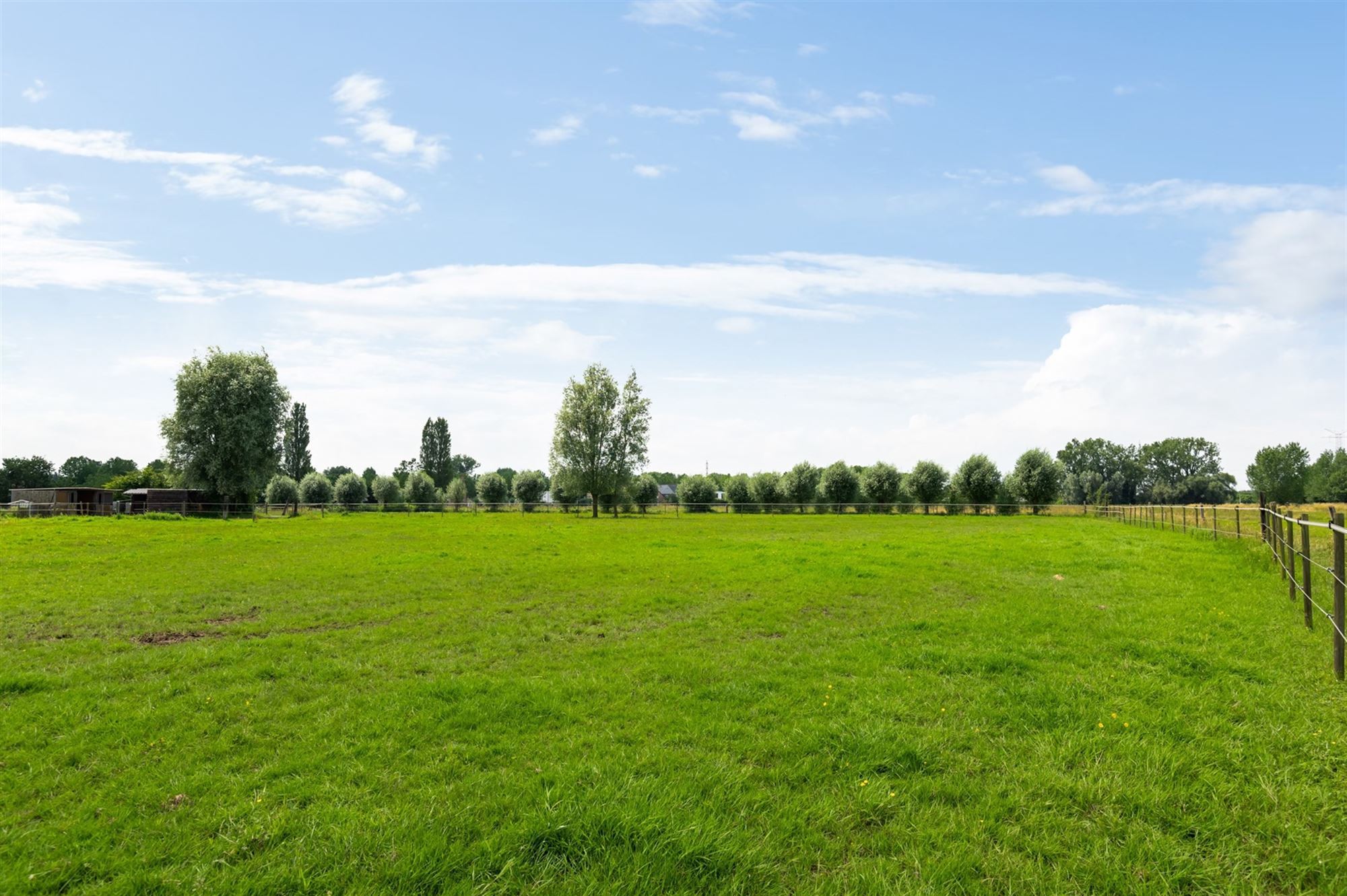 Prachtige paardenweide met stallen en piste foto 21