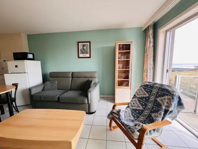 Appartement met 1 kamer en zijdelings zeezicht en duinenzicht foto 7