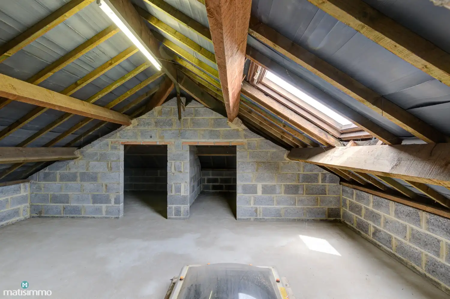 MEERSGEZINSWONING (2 APP.) MET 2 GARAGES, KELDER, ZOLDER EN RUIME TUIN IN MUNSTERBILZEN foto 50