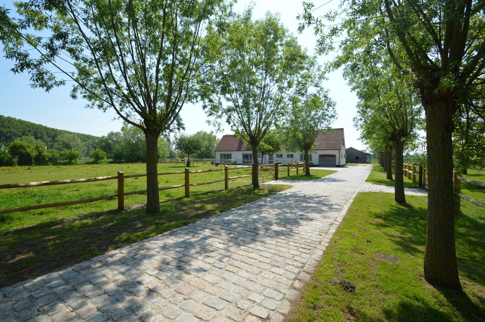 Karaktervolle hoeve met panoramisch uitzicht en paardenstallen, vlakbij Knokke foto 12