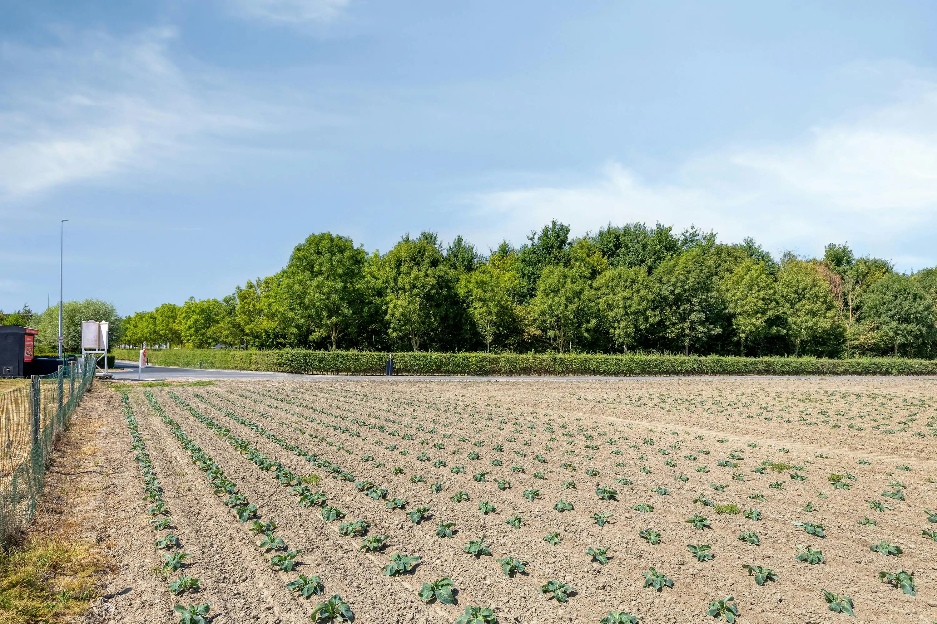 Landelijk gelegen perceel bouwgrond te koop van 2.265 m²  foto 5