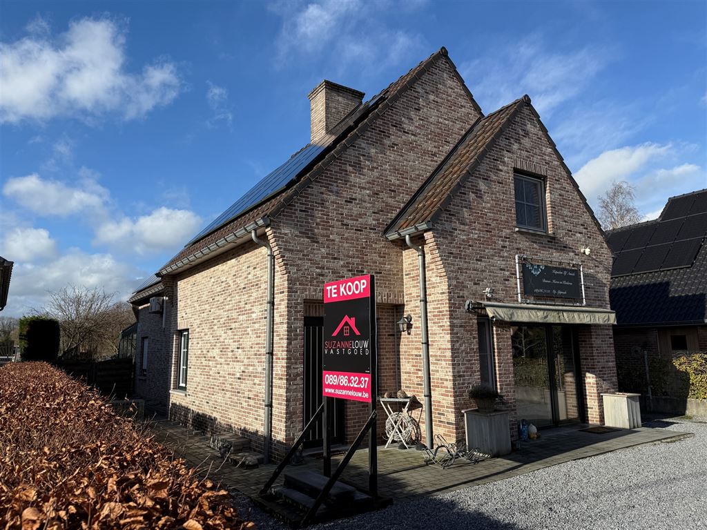 Stijlvolle vrijstaande woning met ruimte voor vrij beroep, garage en verwarmd zwembad op ruim perceel foto 3