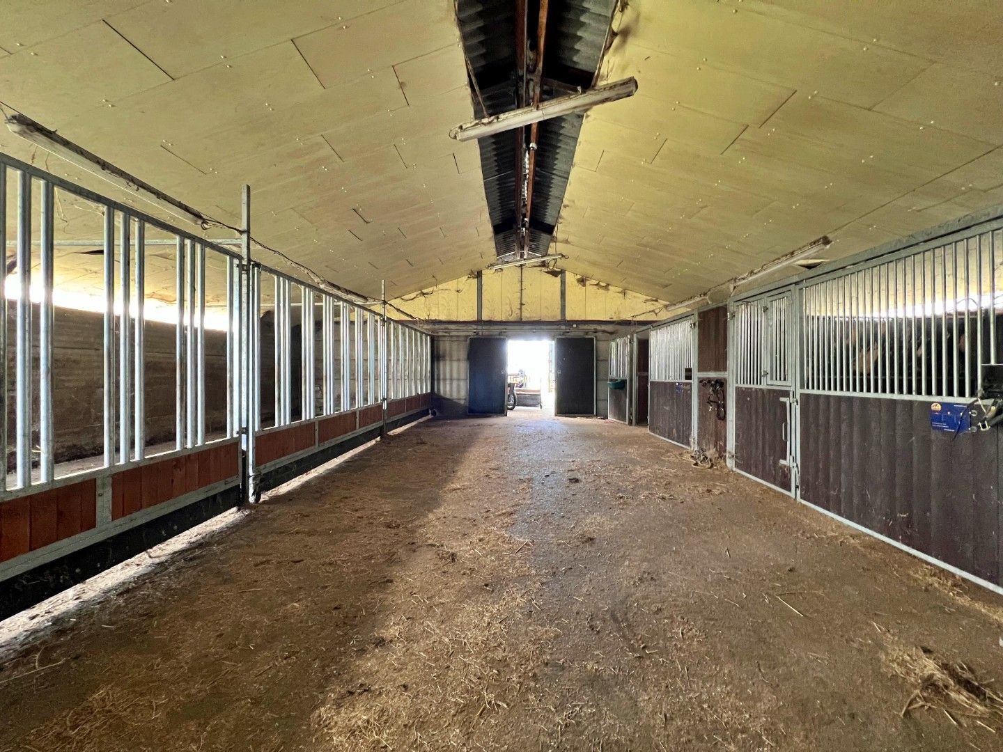 🏡 Te huur: Schuur/Stal/Opslagplaats – 365 m² – Lievegem + optioneel weide van circa 1 hectare groot foto 9