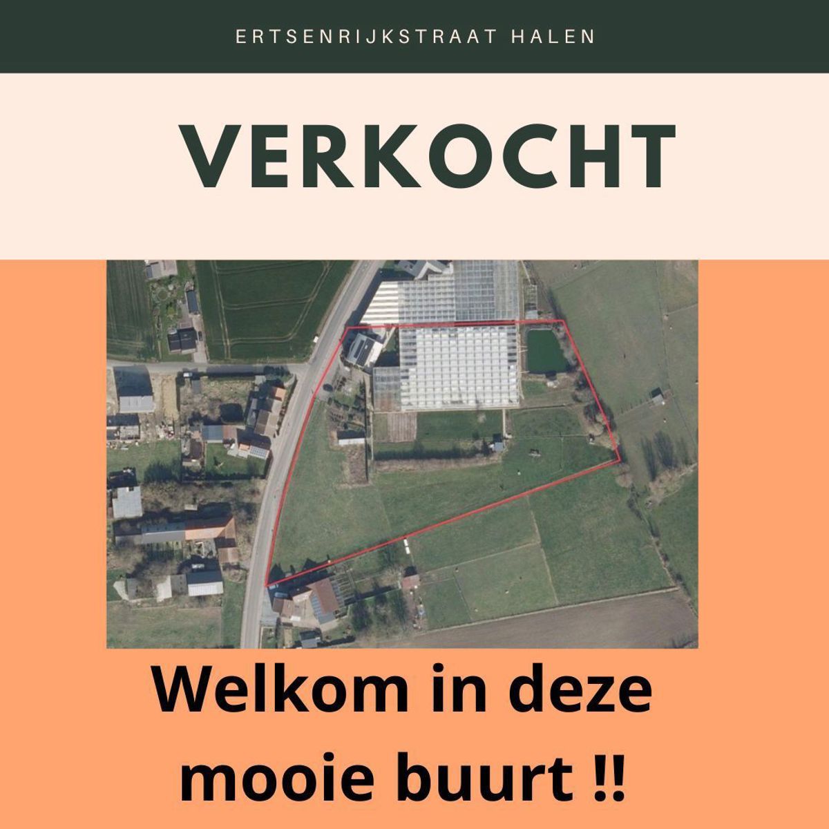 Commercieel te koop foto {{pictureIndex}}