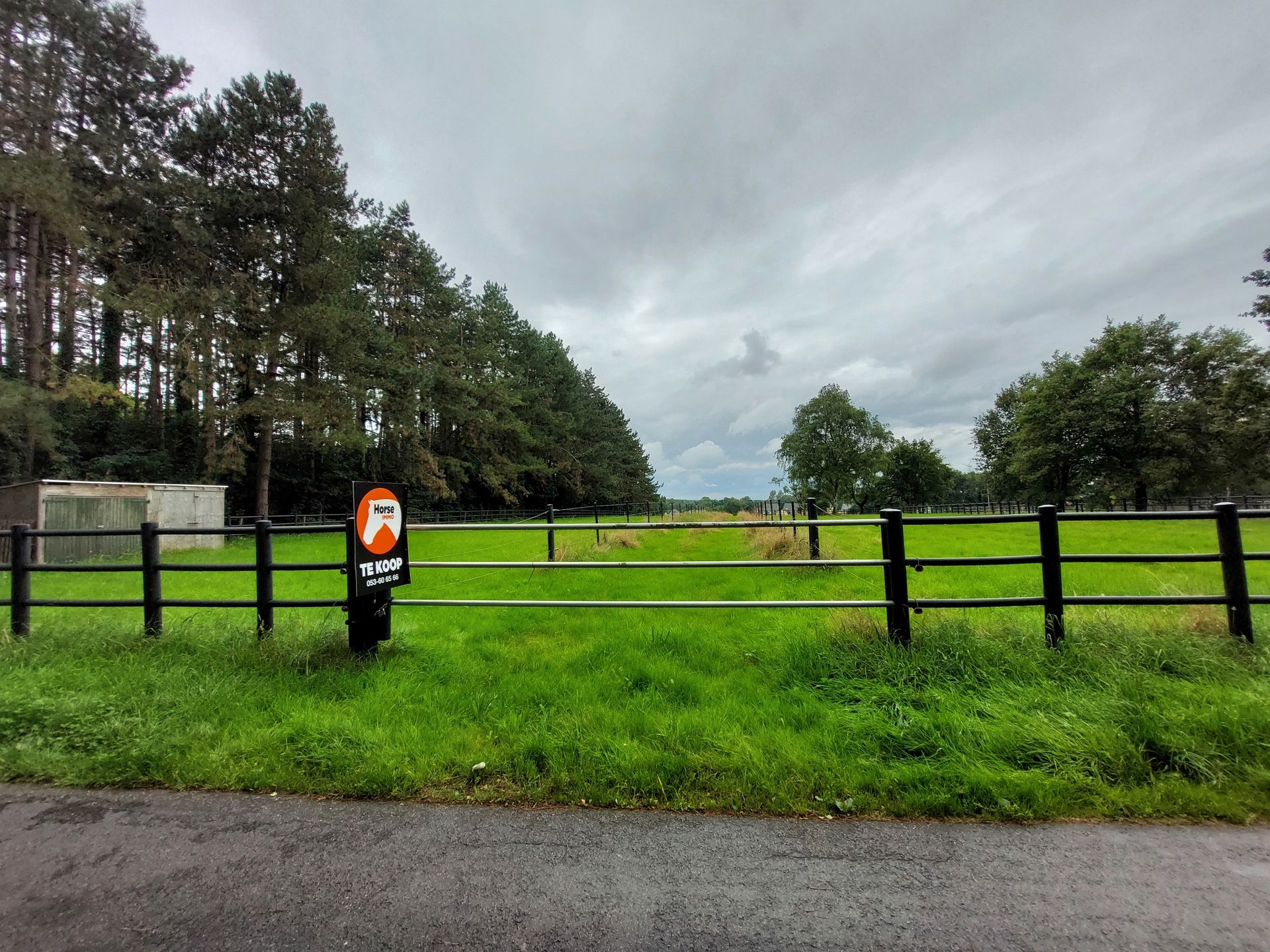 NEEROETEREN - Woning met paardenstallen op +/- 1ha70 foto 6