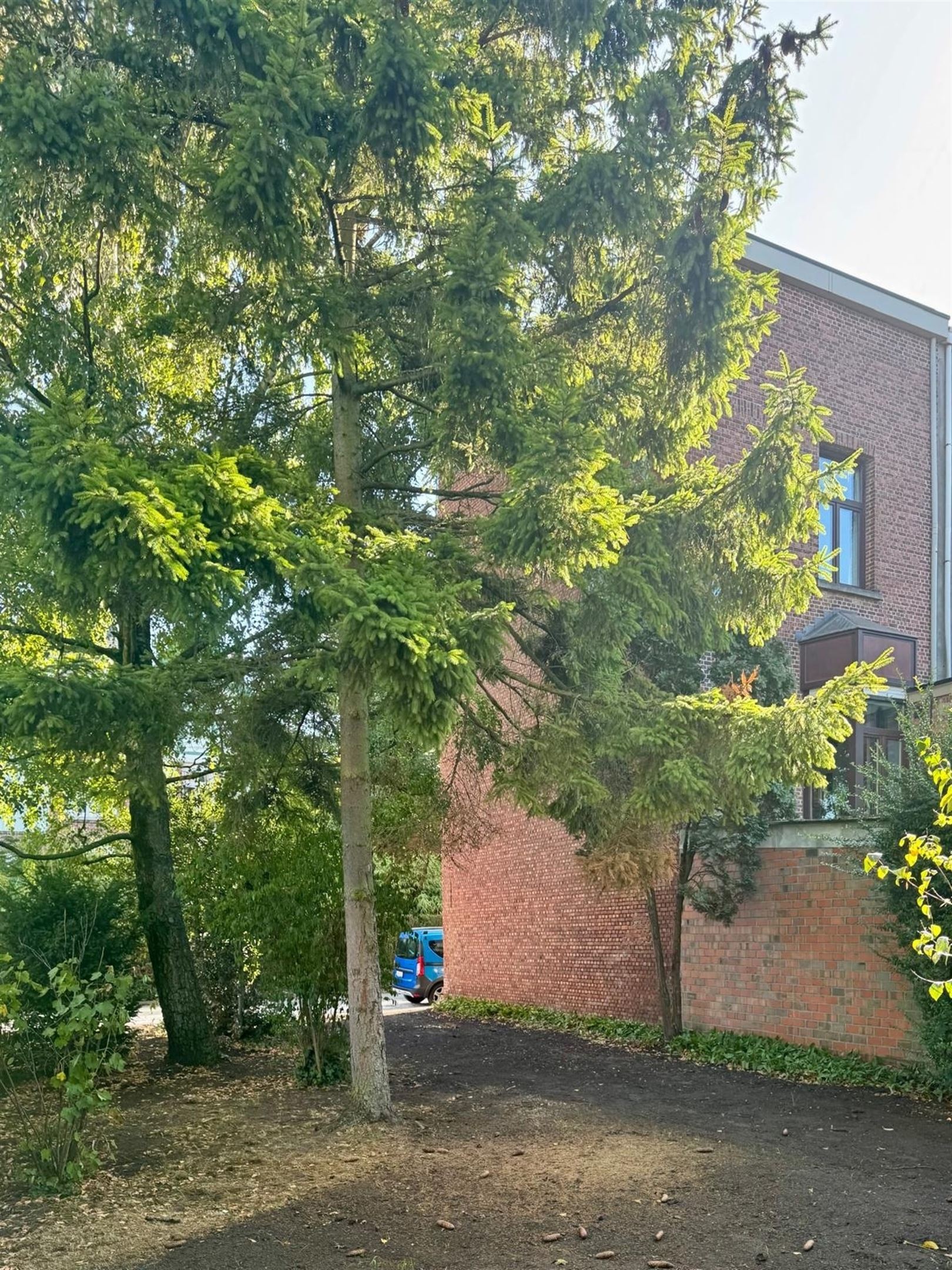 Nieuwbouw HOB in een rustige dreef foto 9