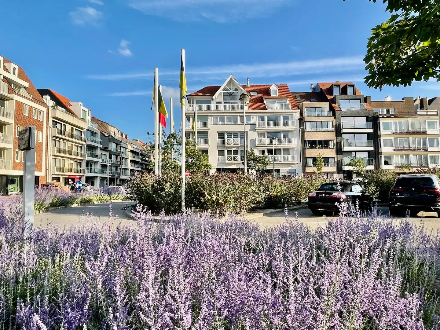 Lichtrijk 2-slaapkamer appartement met open zicht over het Abraham Hansplein. foto 12