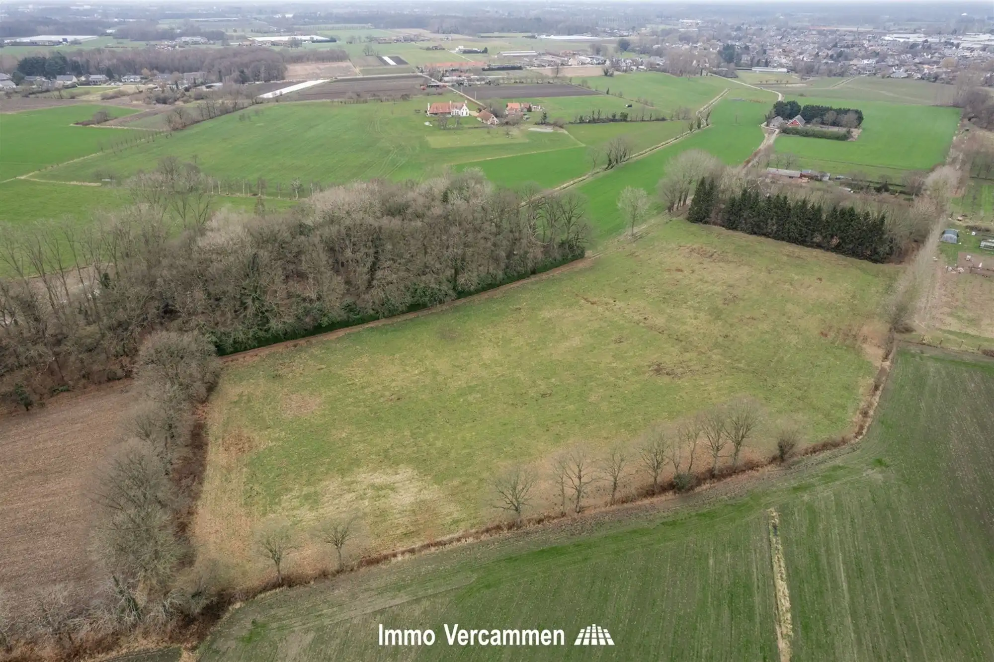 Landelijke woning, idyllisch gelegen op 3ha 59a 15ca te Koningshooikt foto 14