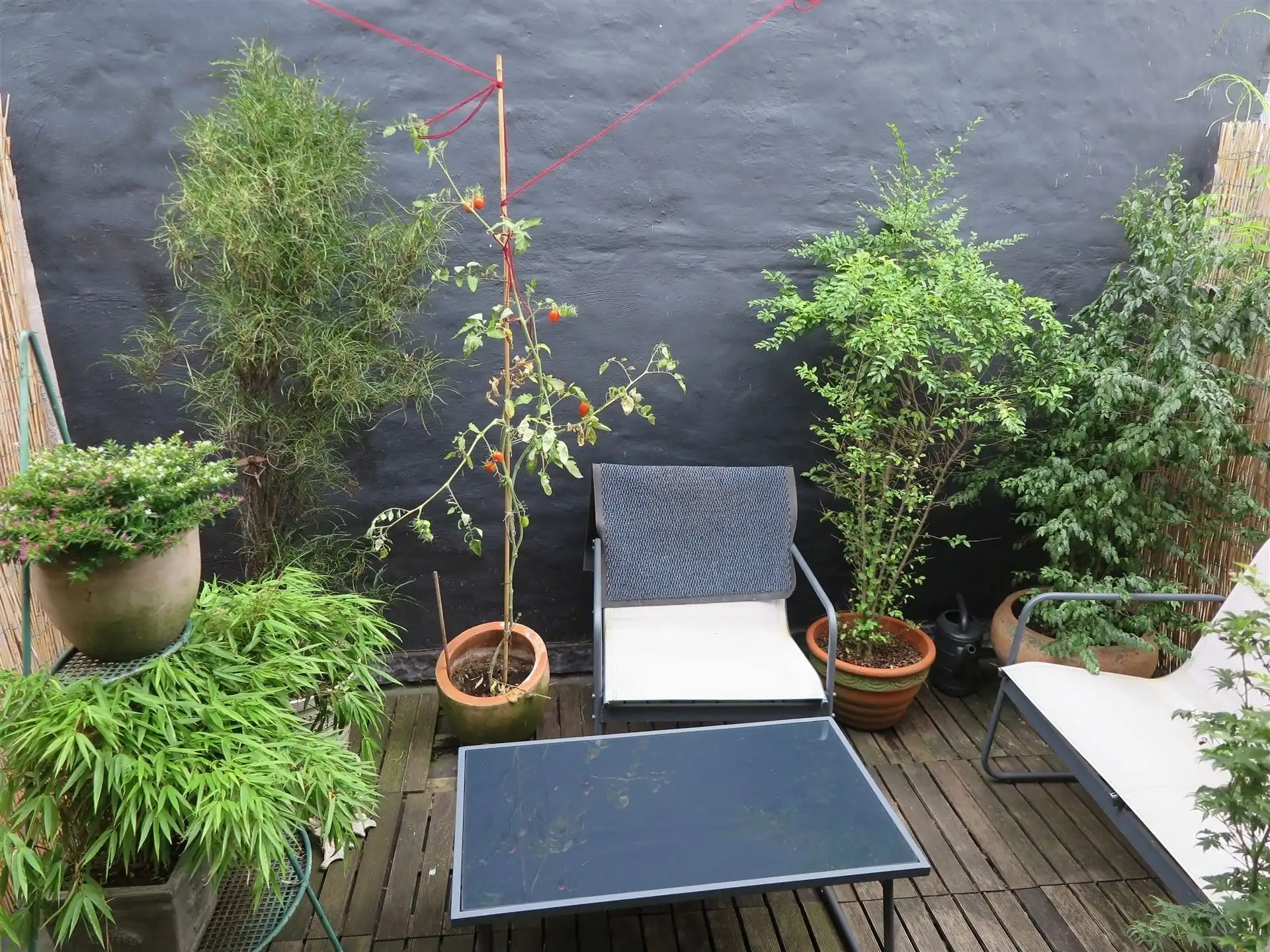 lichtrijk huis met 2 kamers en terras foto 10