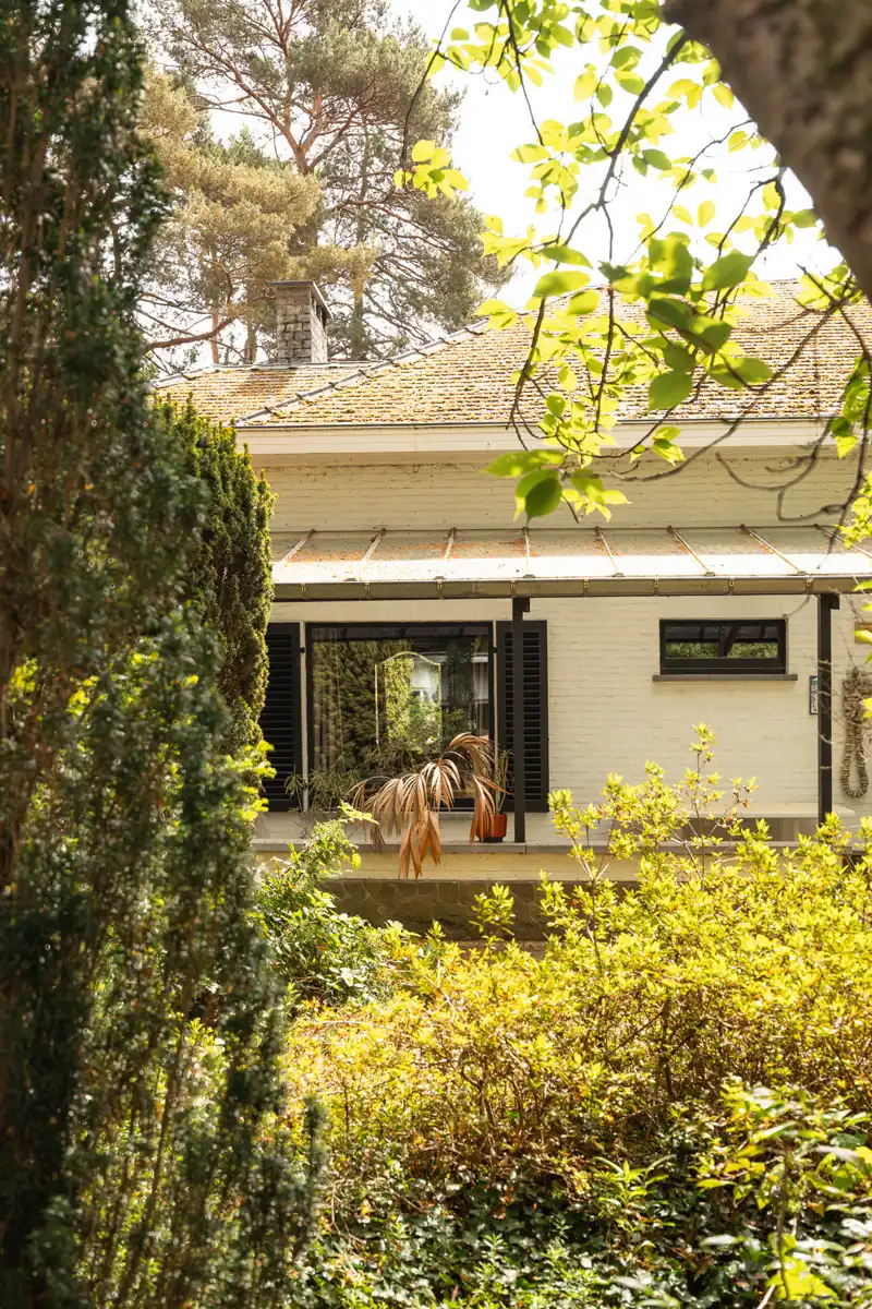 Te renoveren open laagbouwwoning op 2.497 m² te Tremelo foto 27