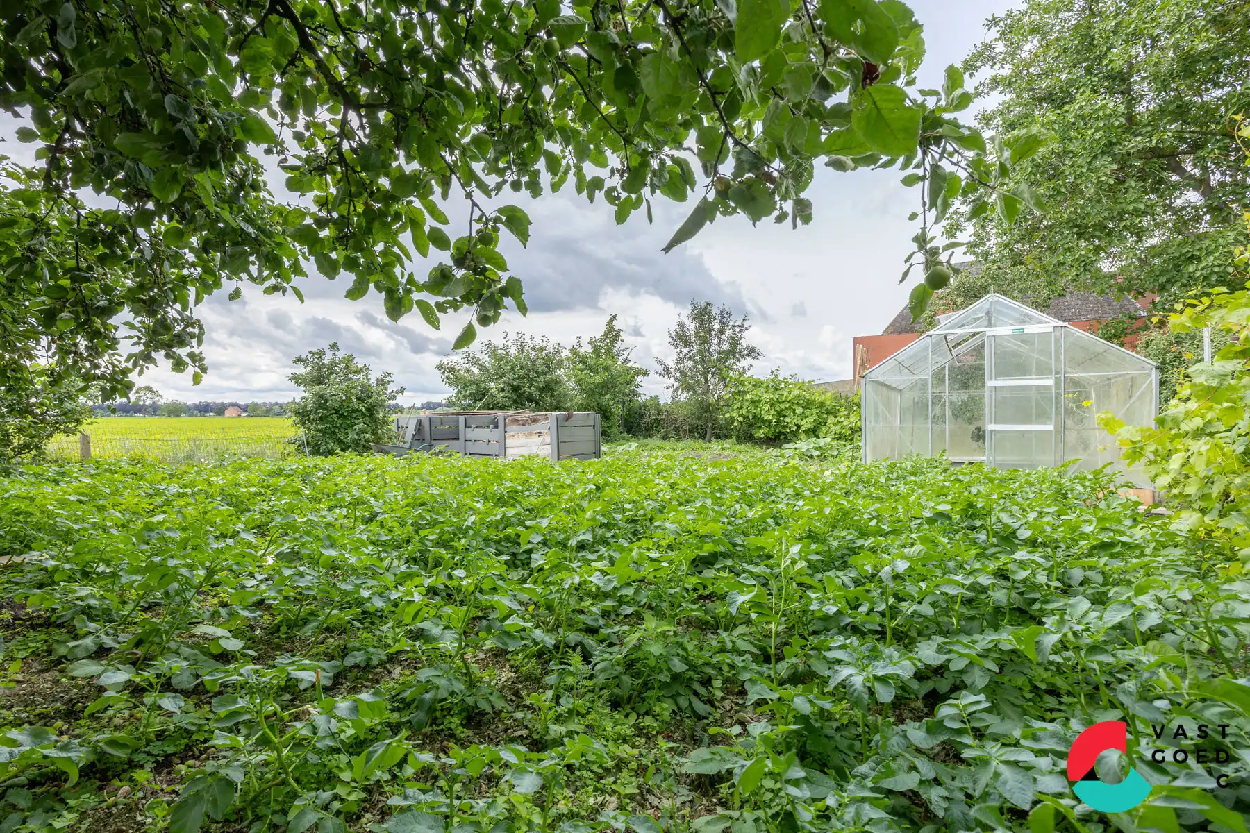 Huis te koop foto 9