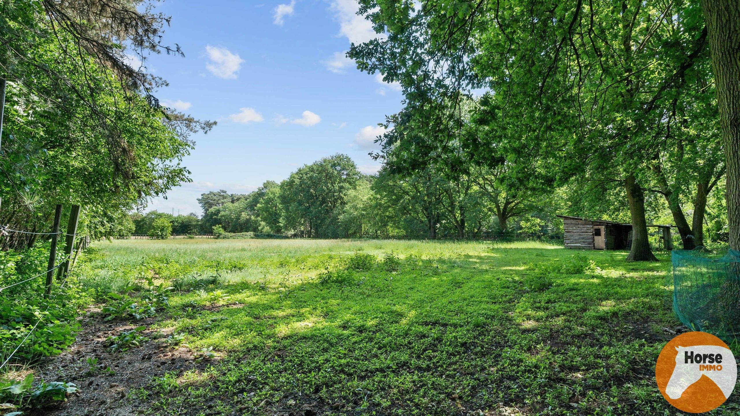 BERINGEN - Ruime woning + projectgrond foto 7