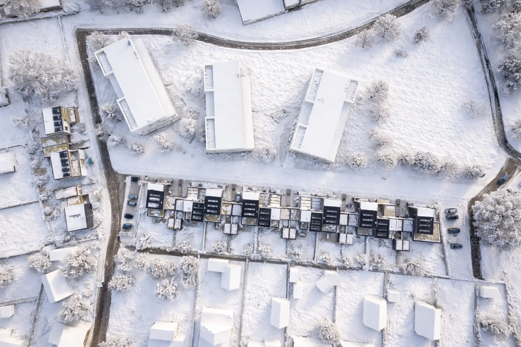 13 nieuwbouwwoningen - Topliggin in Peer! foto 6