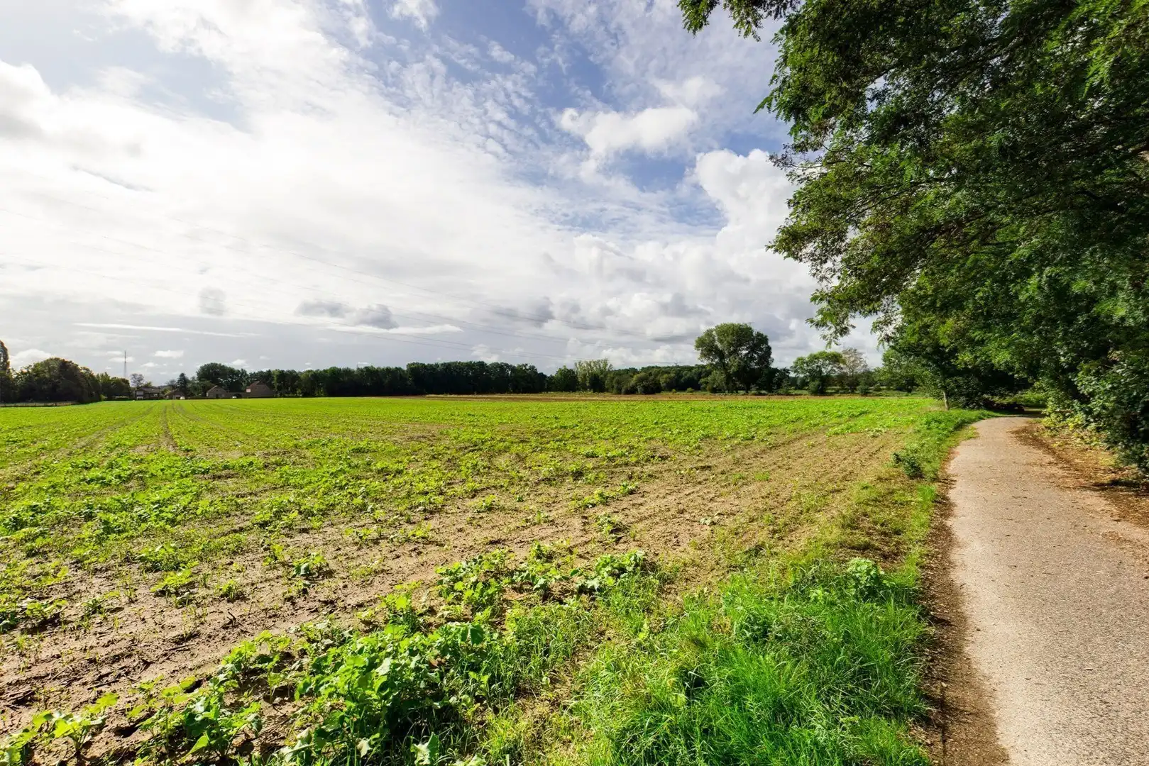 Uniek recreatieperceel in Dilsen-Stokkem – Kansen voor investeerders foto 14