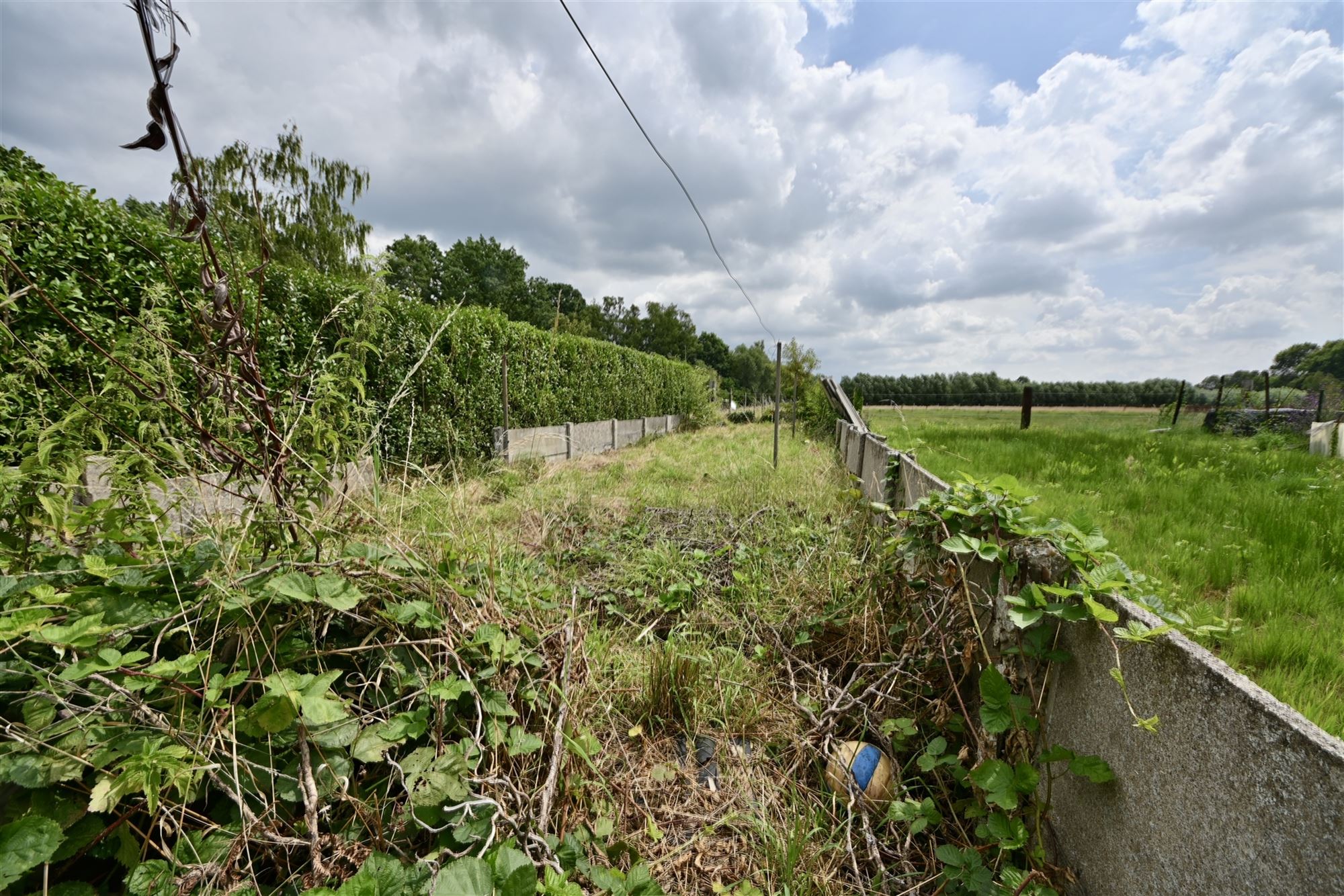 Te renoveren woning met 2 (mogelijk 3) slaapkamers en tuin. foto 17